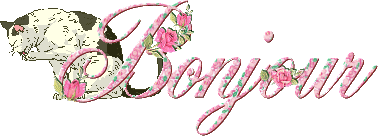 Gif animé bonjour